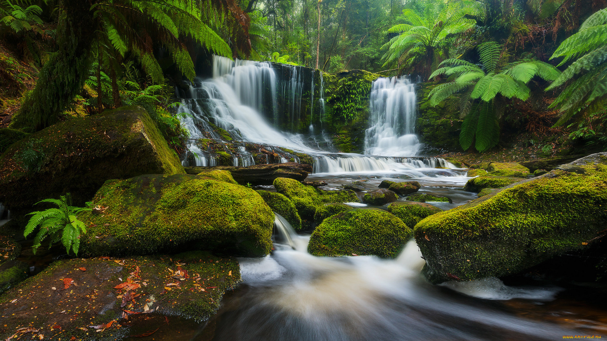 , , horseshoe, falls, mount, field, national, park, , , , , , , -, tasmania, australia, , , , 